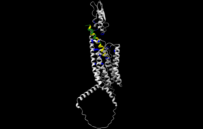 VPAC1 antagonist